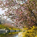 海棠花溪 - 北京市旅游 缩略图 6