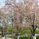 海棠花溪 - 北京市旅游 缩略图 8