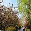 海棠花溪 - 北京市旅游 缩略图 9