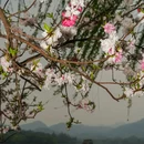 西湖风景名胜区 - 杭州市旅游 缩略图 3