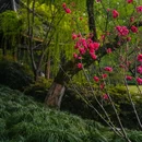 西湖风景名胜区 - 杭州市旅游 缩略图 5