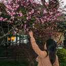 西湖风景名胜区 - 杭州市旅游 缩略图 2