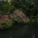西湖风景名胜区 - 杭州市旅游 缩略图 6