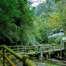碧峰峡风景区-游客中心 - 雅安市旅游 缩略图 5