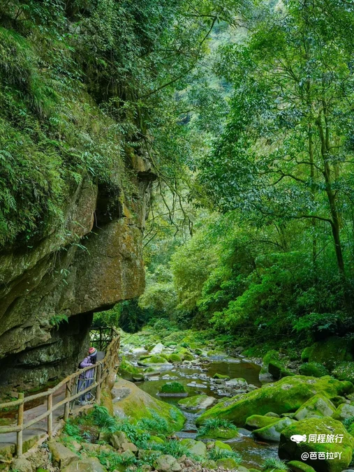 碧峰峡风景区-游客中心 - 雅安市旅游