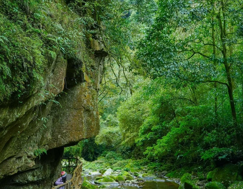 碧峰峡风景区-游客中心 - 雅安市旅游 1