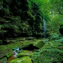 碧峰峡风景区-游客中心 - 雅安市旅游 缩略图 9