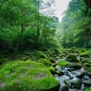 碧峰峡风景区-游客中心 - 雅安市旅游 缩略图 6