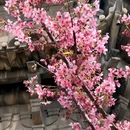 泉州开元寺 - 泉州市旅游 缩略图 3