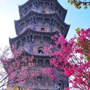 泉州开元寺 - 泉州市旅游 缩略图 1