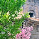 泉州开元寺 - 泉州市旅游 缩略图 4