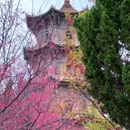 泉州开元寺 - 泉州市旅游 缩略图 7