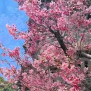 泉州开元寺 - 泉州市旅游 缩略图 6