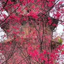 泉州开元寺 - 泉州市旅游 缩略图 8