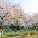 玄武湖景区 - 南京市旅游 缩略图 5