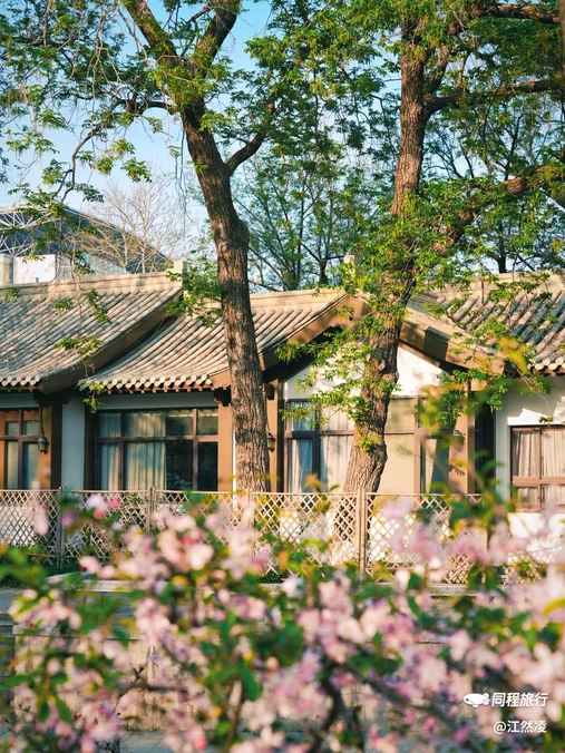 玄武湖景区 - 南京市旅游