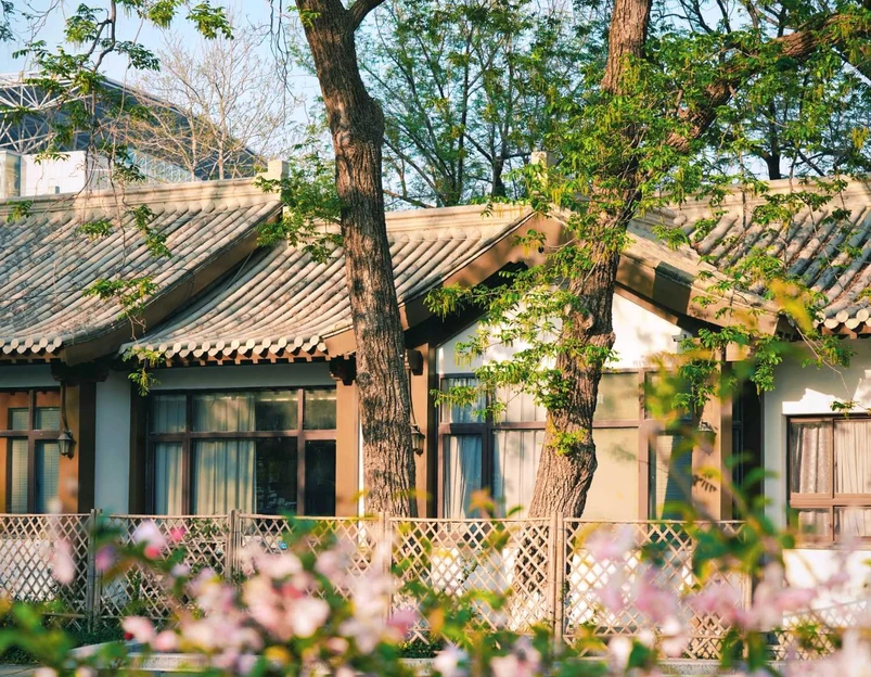 玄武湖景区 - 南京市旅游 1