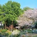 玄武湖景区 - 南京市旅游 缩略图 4