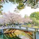 玄武湖景区 - 南京市旅游 缩略图 7
