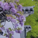 吟苑公园 - 无锡市旅游 缩略图 1