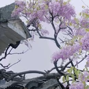 吟苑公园 - 无锡市旅游 缩略图 3