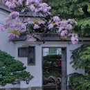 吟苑公园 - 无锡市旅游 缩略图 4