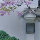 吟苑公园 - 无锡市旅游 缩略图 8