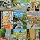 曲水亭街35号院 - 济南市旅游 缩略图 8