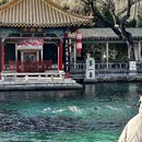 曲水亭街35号院 - 济南市旅游 缩略图 2
