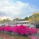 华南农业大学-西区 - 广州旅游 缩略图 4