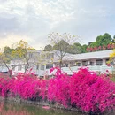 华南农业大学-西区 - 广州旅游 缩略图 2