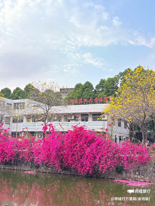 华南农业大学-西区 - 广州旅游