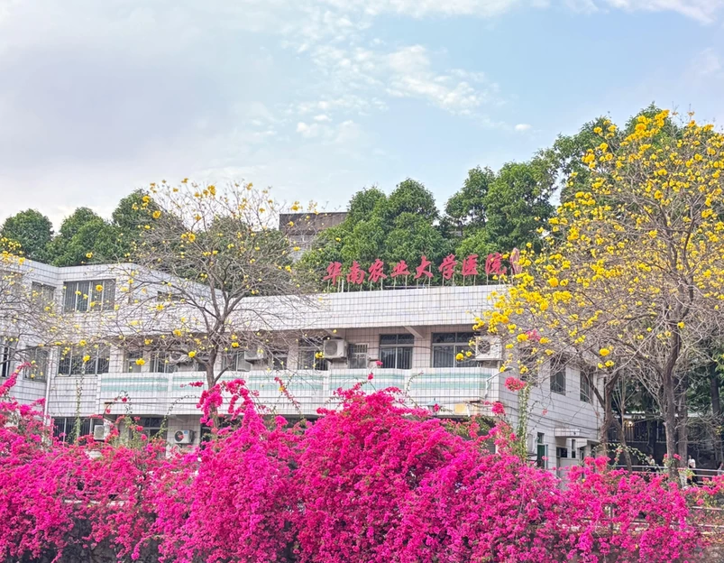 华南农业大学-西区 - 广州旅游 1