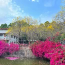 华南农业大学-西区 - 广州旅游 缩略图 3