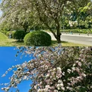 电子科技大学成都学院 - 成都市旅游 缩略图 8