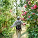 葛仙山风景区 - 成都市旅游 缩略图 2