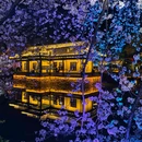 无锡太湖鼋头渚风景区 - 无锡旅游 缩略图 3