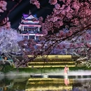 无锡太湖鼋头渚风景区 - 无锡旅游 缩略图 7