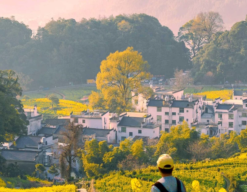 婺源江岭-梯田风光 - 上饶市旅游 1