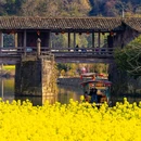 婺源江岭-梯田风光 - 上饶市旅游 缩略图 4