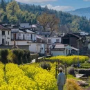 婺源江岭-梯田风光 - 上饶市旅游 缩略图 6