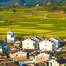 婺源江岭-梯田风光 - 上饶市旅游 缩略图 7