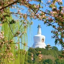 北海公园 - 北京旅游 缩略图 4