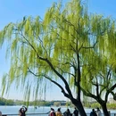 北海公园 - 北京旅游 缩略图 2