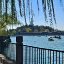 北海公园 - 北京旅游 缩略图 6