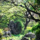 锡惠公园 - 无锡市旅游 缩略图 8