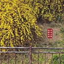 北海公园 - 北京旅游 缩略图 6