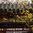 广富林文化遗址 - 上海市旅游 缩略图 5