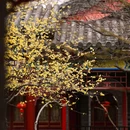 广富林文化遗址 - 上海市旅游 缩略图 1