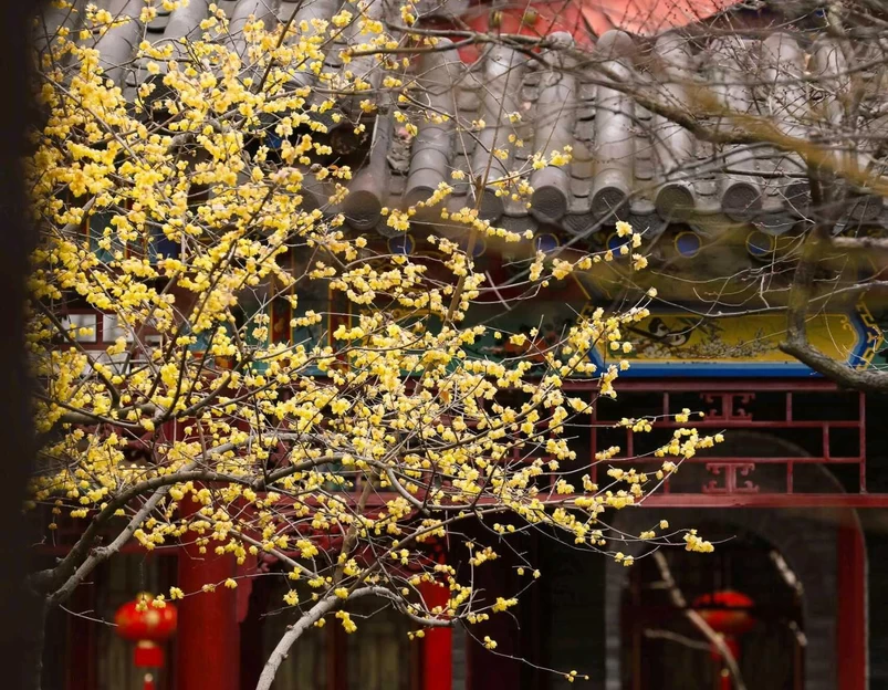 广富林文化遗址 - 上海市旅游 1